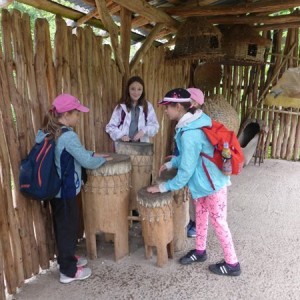 m_P1050447.JPG
