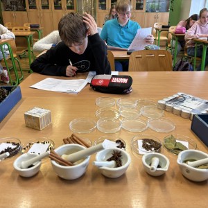 IMG_0237.jpeg
