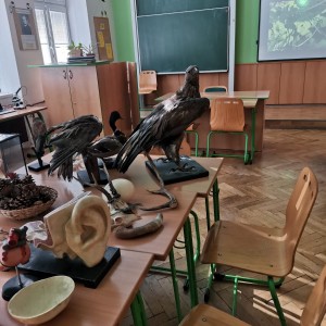 30.JPG