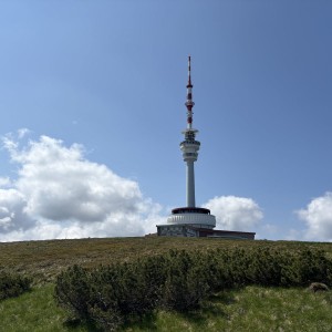 IMG_1936.jpg